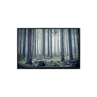 좋은 가격 BP101WX2-100-3QP0 10.1인치 LCD 화면 LCD 디스플레이 온라인으로