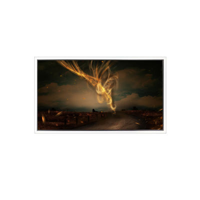 좋은 가격 28.0인치 1920*2160 DV279SVB-NV0 LCD 화면 비디오 벽에 대한 온라인으로