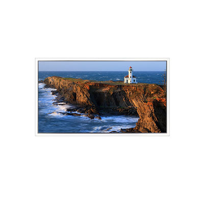 좋은 가격 49인치 1920*1080 DV490FHB-NV1 비디오 벽용 LCD 화면 온라인으로