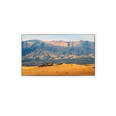 좋은 가격 49인치 3840*2160 DV490QUB-N8A LCD 스크린 온라인으로