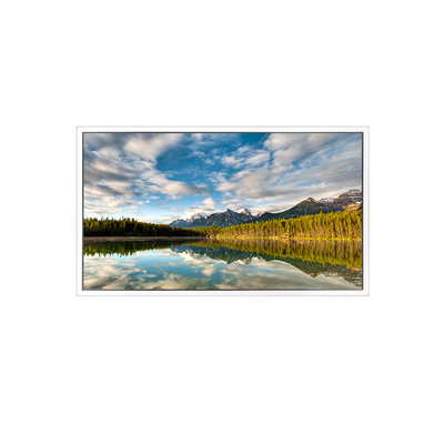 좋은 가격 55인치 DV550FHB-N30 1920*1080 투명 디스플레이용 LCD 화면 온라인으로