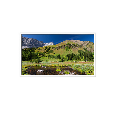 좋은 가격 DV550QUB-N20 3840*2160 55인치 LCD 스크린 온라인으로