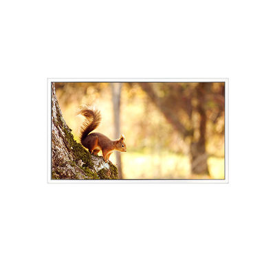 좋은 가격 새로운 EV156FHB-N12-2HP0 1920*1080 산업용 15.6인치 LCD 화면 온라인으로