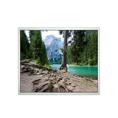 좋은 가격 1280*1024 19.0 인치 EV190E0M-N10 1000:1 LCD 스크린 산업용 온라인으로