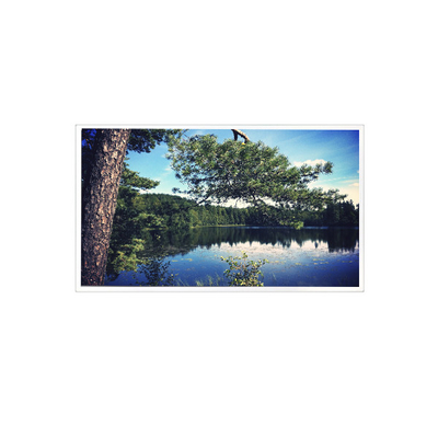 좋은 가격 1024*768 15.0 인치 TDA150-002 LVDS 700 cd/m2 LCD 화면 온라인으로