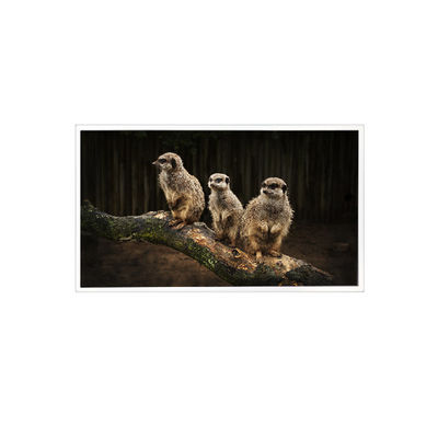 좋은 가격 RV150U0M-NI0 1600*1200 15.0인치 LCD 화면 패널 디스플레이 온라인으로