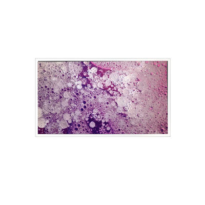 좋은 가격 RV201U0M-N00 1600*1200 산업용 20.1인치 LCD 화면 온라인으로