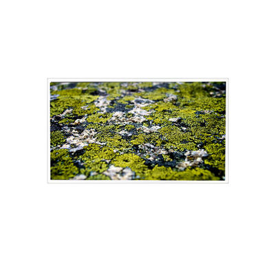 좋은 가격 10.4 인치 RV104X0M-N00 1024 * 768 산업용 LCD 화면 온라인으로