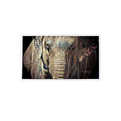 좋은 가격 VL-FS-7HD 1280*768 자동차 디스플레이용 7.0인치 LCD 화면 온라인으로