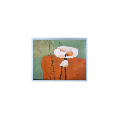 좋은 가격 15.5인치 AM-19201080F1TZQW-A0 외부 높은 밝기를 위한 LCD 화면 패널 온라인으로