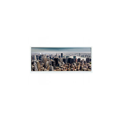 좋은 가격 JJ103IA-12A 10.3 인치 50 핀 WLED LCD 디스플레이 모듈 화면 온라인으로