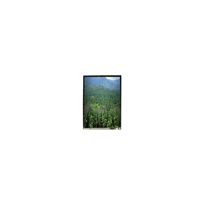 좋은 가격 LS055B3SX04Z 5.5인치 1920*3664 TFT LCD 화면 패널 온라인으로