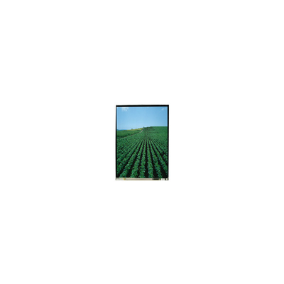 좋은 가격 5.0인치 LS050T3SX09 1080*1920 LCD 화면 온라인으로