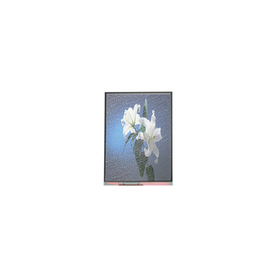좋은 가격 C090SWP1-2 자동차 디스플레이용 9.0 인치 800*480 LCD 화면 온라인으로
