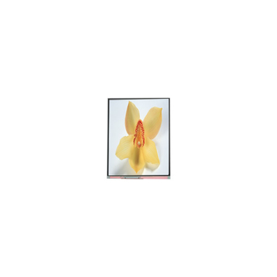 좋은 가격 C050SWAN-0 5.0 인치 720*1280 LCD 화면 패널 온라인으로