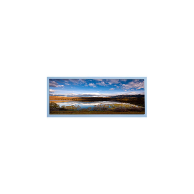 좋은 가격 M102AWF2 R3 10.3인치 LCD 화면 자동차 디스플레이용 TFT LCD 패널 온라인으로