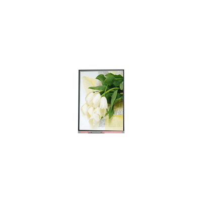 좋은 가격 5.5인치 C055SWY2 R0 LCD 화면 패널 온라인으로
