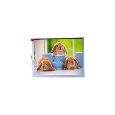 좋은 가격 새로운 TM070SDH03 800*600 7.0인치 TFT-LCD 화면 패널 온라인으로