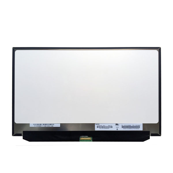N125HCE-GN1 12.5 인치 LCD 스크린 패널 1920X1080 고정 헤드 디스크 176PPI 300 cd/M2 LVDS 입력