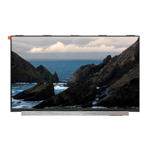 LQ133M1JW21 13.3 인치 TFT LCD 디스플레이 1920 * 1080 eDP 2 레인 신호 시스템