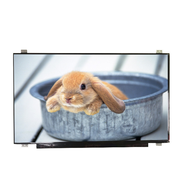 공급 B173HAN01.4 크기 17.3 인치 매트 하드 코팅 LCD 화면