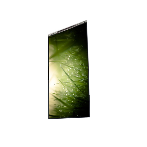 BS055FHG-E41-6C00 5.5 인치 LCD 디스플레이 LCD 화면 패널 휴대 전화