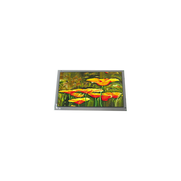 핫 판매 8.0 인치 AM-800600P4TMQW-B0H-E TFT LCD 화면 모니터