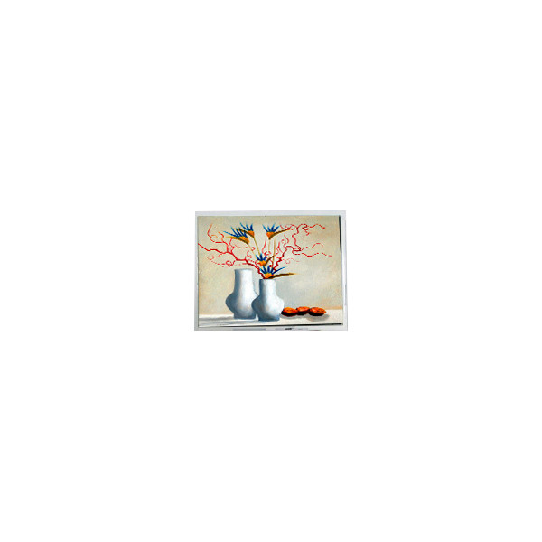 새로운 5.2 인치 DMF5010NB-FW-BC 400 cd/m2 LCD 화면 디스플레이 모듈