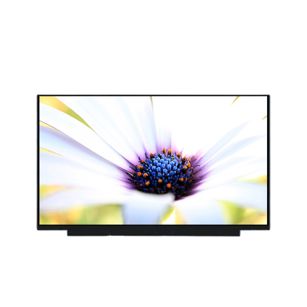NV173FHM-N45 원본은 17.3 인치 LCD 디스플레이