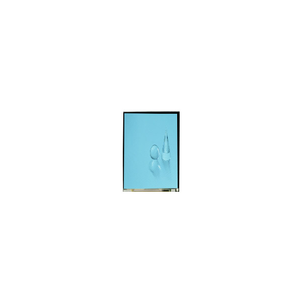 LS060B1SX01 6.0인치 LCD 화면 1080*2160 1500 Cd/M2 LCD 터치 화면