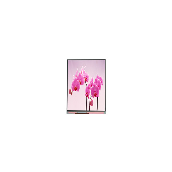 C060SWR5-1 6.0 인치 720*1440 LCD 화면 디스플레이 패널