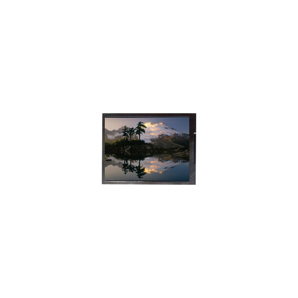 F050A19-6T1 5.0인치 720*1280 LCD 화면