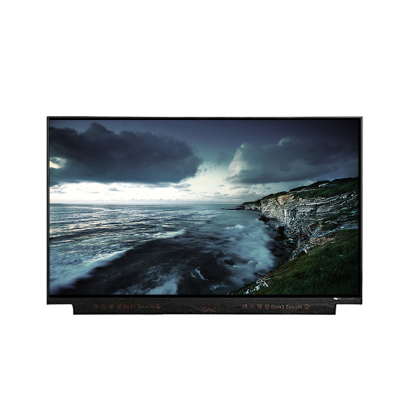 IT1160030 BOE 30 핀의 11.6 인치 LCD 패널 1366 * 768 TFT LCD 화면