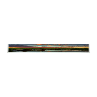 좋은 가격 LG는 28.6 인치 엘시디 판넬 LD290EJS-FPN1 LCD 디스플레이 모듈 대체를 드러냅니다 온라인으로