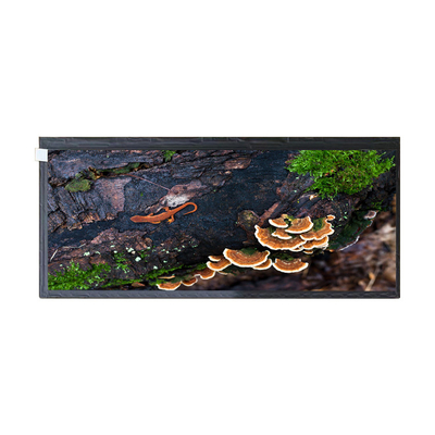 좋은 가격 12.3 자동차 디스플레이를 위한 인치 HSD123KPW2-A10 50 핀 LCD 스크린 패널 표시장치 온라인으로