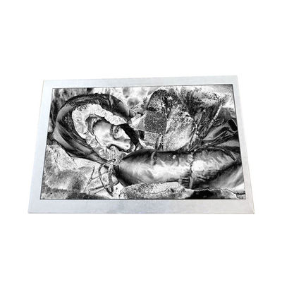 좋은 가격 산업 TX13D06VM2BAA 5.0 인치 188PPI LCD 화면 온라인으로