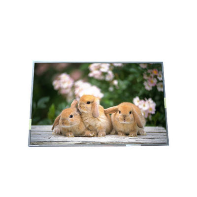 좋은 가격 원본은 17.3인치 B170PW05 V1 LCD 화면 온라인으로