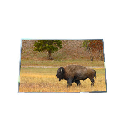 좋은 가격 공급 17.0 인치 B170PW03 V5 99PPI TFT LCD 패널 온라인으로