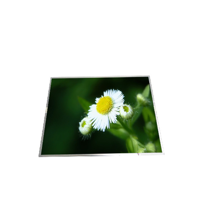 좋은 가격 B150XG01 V8 15.0 인치 1024*768 LCD 디스플레이 TFT-LCD 스크린 온라인으로
