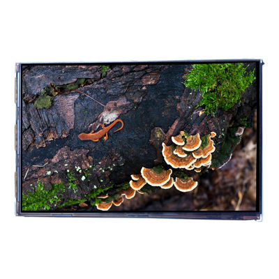 좋은 가격 VVX07H005A00 7.0인치 450 cd/m2 LCD 화면 디스플레이 패널 온라인으로