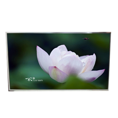 좋은 가격 LD490EQG-FPA3 49.0 인치 3840*2160 해상도 디지털 사이니지를 위한 LCD 화면 패널 온라인으로