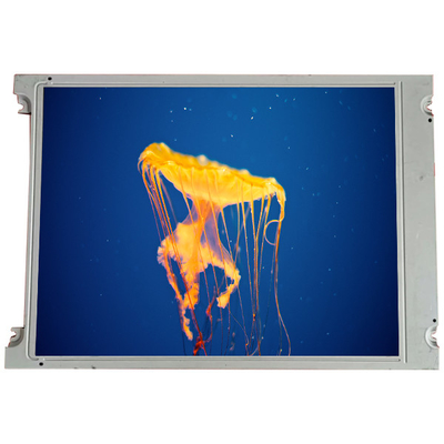 좋은 가격 SX16H005-ZZA 6.2 인치 640 * 240 LCD 스크린 패널 산업용 온라인으로