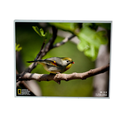 좋은 가격 LM201U1-A3M1 20.1 인치 1600*1200 LCD 화면 온라인으로