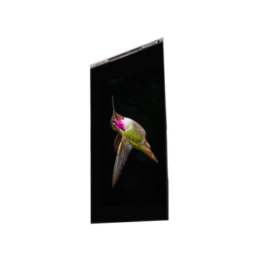 좋은 가격 BS062FBE-L30-6Q00 6.3 인치 LCD 디스플레이 LCD 화면 패널 휴대 전화 온라인으로