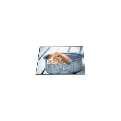 좋은 가격 LB065WQ4-TD01 400*240 6.5인치 TFT LCD 화면 패널 온라인으로