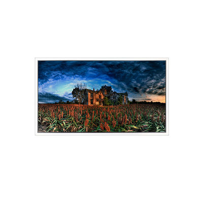 좋은 가격 15.6인치 GV156QDB-N80 2560*1600 40핀 LCD 화면 온라인으로