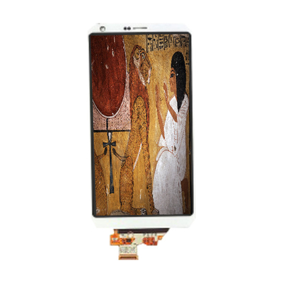 좋은 가격 LM185WH1-TLH2 18.5인치 600:1 LVDS LCD 화면 패널 온라인으로