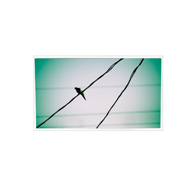 좋은 가격 TDA104-001V01 10.4 인치 1024*768 1000:1 LVDS LCD 패널 산업용 디스플레이 온라인으로
