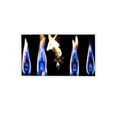 좋은 가격 TDA190-001V02 1280*1024 19.0 인치 800 cd/m2 LCD 야외 고 밝기 온라인으로