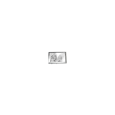 좋은 가격 8.8인치 768*768 TPA088-001V02 16.7M 71% NTSC 산업용 LCD 패널 온라인으로